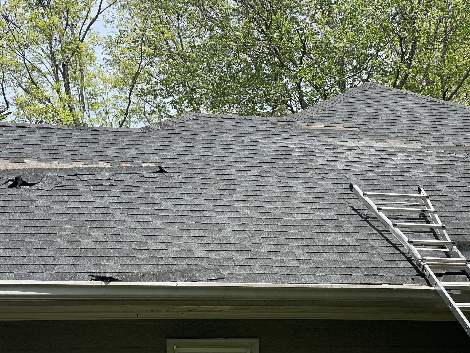 Rear slope with inspection ladder. Torn and displaced shingles at the left eave and along the upper courses, with color-mismatched replacement courses near the ridge.